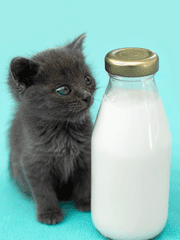 픽셀리 어린이집