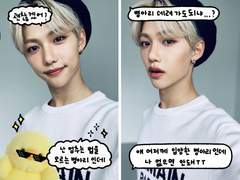 🐣 투명포카 도안 배포 🐥 병아리