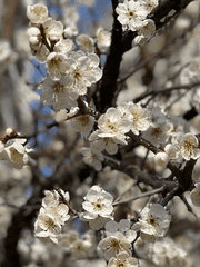 하나하나의 소중함