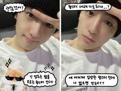 🐹투명포카 도안 배포🐹 햄스터