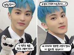 🐈투명포카 도안 배포🐱 고양이