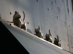 고양이마을의 괴담