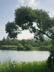 잊지 않기 위해 기록합니다