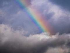 랑 글 커미션(❌)