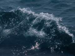 [장추] Anxiety Is My Strength