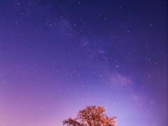 [레오안즈] 외계인과의 만남