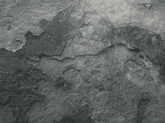 [국랩진] 종말의 날 1