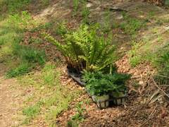 [농사일기] 텃밭 동아리 첫 모임