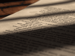 바보 같은 건, 그래.