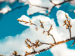 타케른) 하나가키 타케미치가 유일하게 컨트롤할수 있는건 제 목숨뿐이라 1