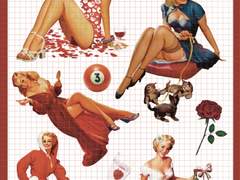 [Fallin Flower] 오브젝트 스티커