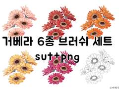 거베라 브러쉬 6종+png 세트