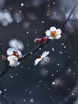 다시 사랑할수 있을까