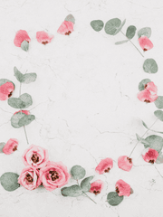 하쿠센 / 센치행 뒷이야기 / 내 맘대로 망상