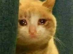 03 놀리고 놀려지는 약육강식의 문카페