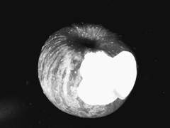 깨달음은 늦고_2막(下)