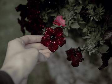 Trick or truth : 上