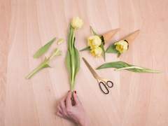 [흡툭죽/로나드라] Will I still love you tomorrow