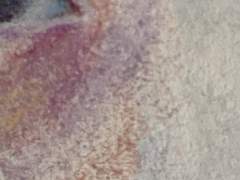 잠깐의 공지사항 + 추가