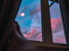 [순애] 감기 - 리로