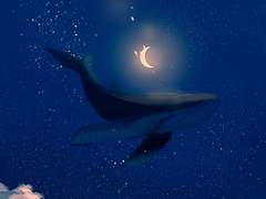 𝑅𝑒𝑙𝑎𝑡𝑖𝑜𝑛𝑠ℎ𝑖𝑝