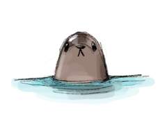 어부와 셀키는 행복하게 살았답니다.