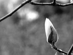 [프로필] 공 선 / 12세 / 공작새