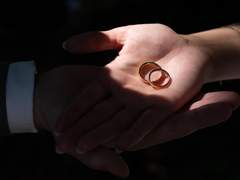 증오와 운명 사이