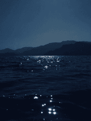 단조롭고 삭막하고 허약한 세계