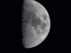 [보쿠아카-육아를 목표로?!-2]