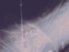 살아가야만 해.