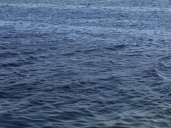 돋보이지 않는 물결, 1호