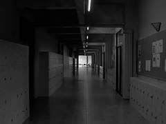 [ 도리벤 ] 카쿠쵸가 들려주는 무서운 이야기