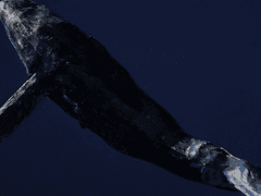 인간은 시간이 얼마나 지나야 멸종하게 될까?