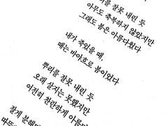 비가 오는 날에는 바다 위에 가만히 떠다니고 싶은 충동이 든다.