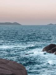 돋아나는 파란 아래