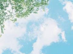 선배, 선배, 선배!