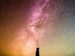 달려가는 심장-2