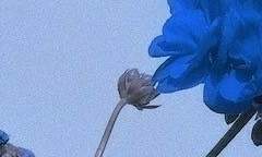 제가 시험이라고 광기가 없을 것 같았나요?