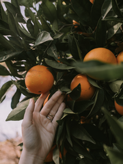 한 달 1일 1포스팅 