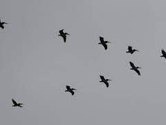 [ 아사카세 마사요시 / 48 / 남성 ]