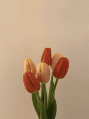 마지막이면 좋겠다