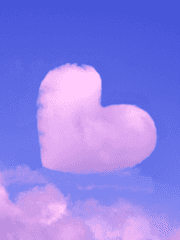 이런 게 보고싶다