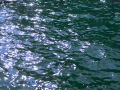 [공지] 비상업목적 유료 촬영 안내