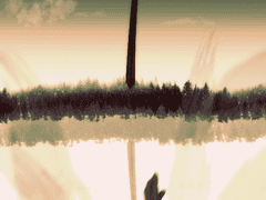 페넥...썰가튼거