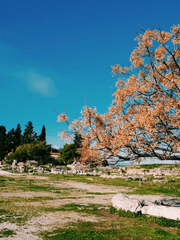 고대에서 전해내려져 오는, 그 시기의 이야기.