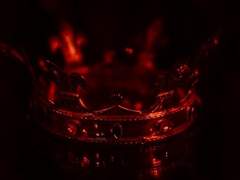 𝑬𝒍𝒐𝒊𝒔𝒆 𝑴𝒖𝒍𝒍𝒂𝒏𝒆𝒚 𝑬𝒄𝒍𝒊𝒏𝒆