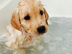 [차가차] 눈을 떠보니 애인이 애기가 된 일에 대하여 4