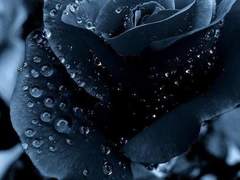 [Obey me!] 남드림주