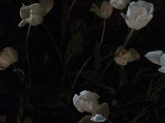 사라질까 두려웠다